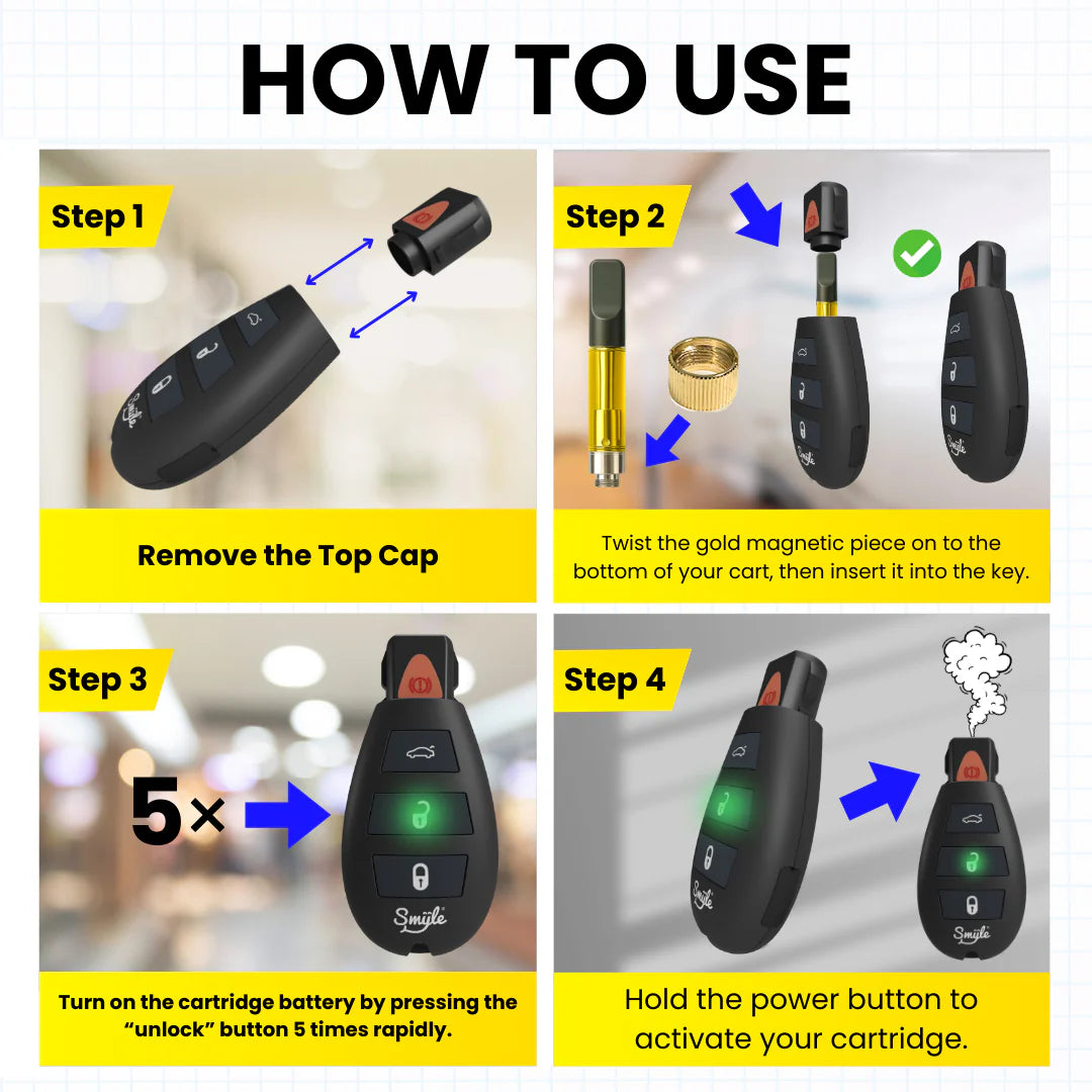 Smyle Labs Car Key Fob Penjamin