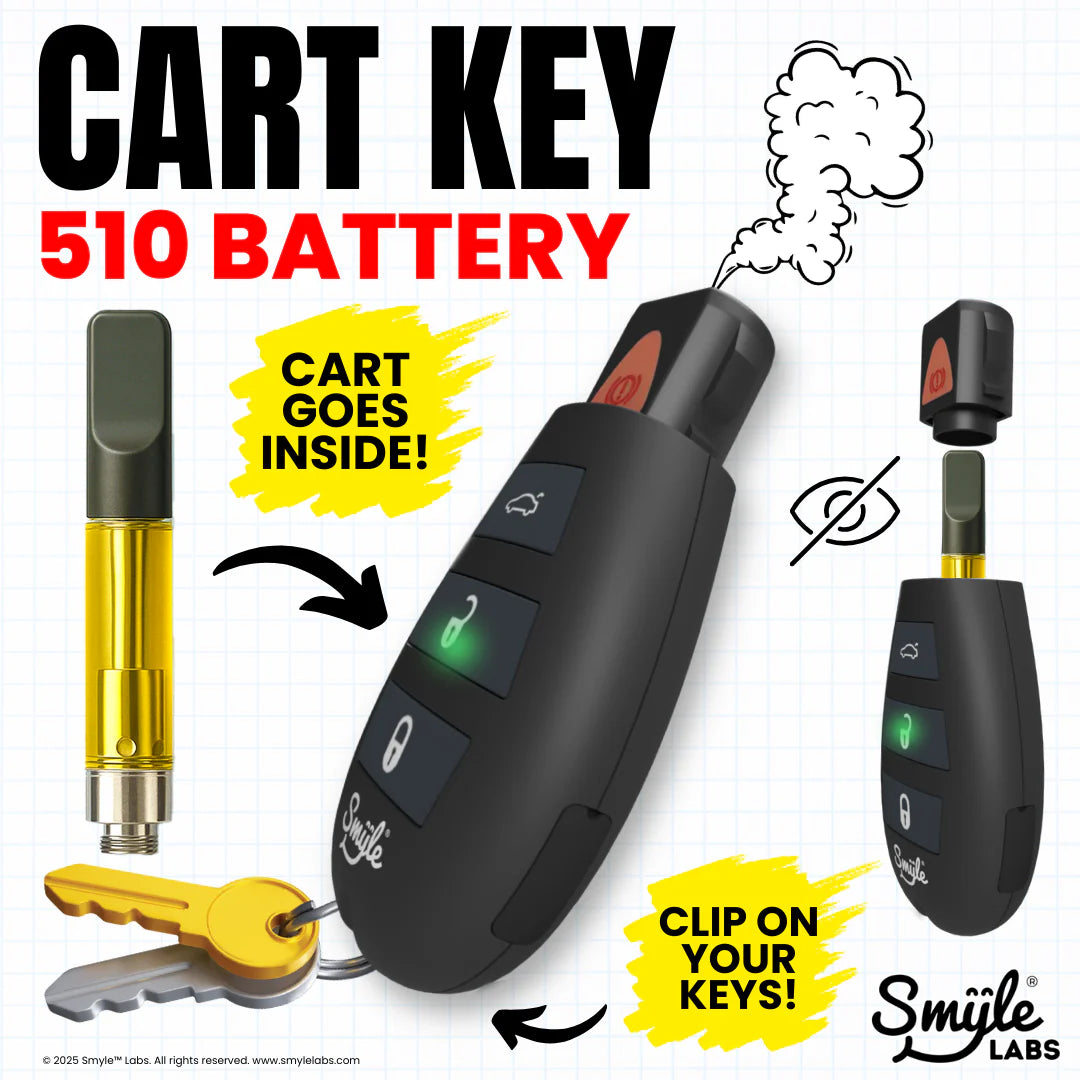 Smyle Labs Car Key Fob Penjamin