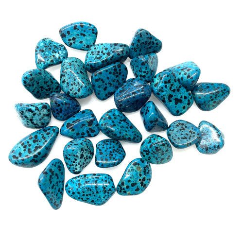 Blue Dalmation Tumbled Stone by the Pound - TPCSUPPLYCO