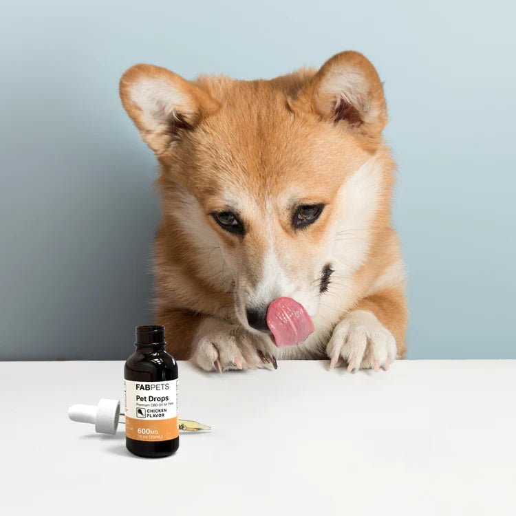 CBD PET BUNDLE - TPCSUPPLYCO