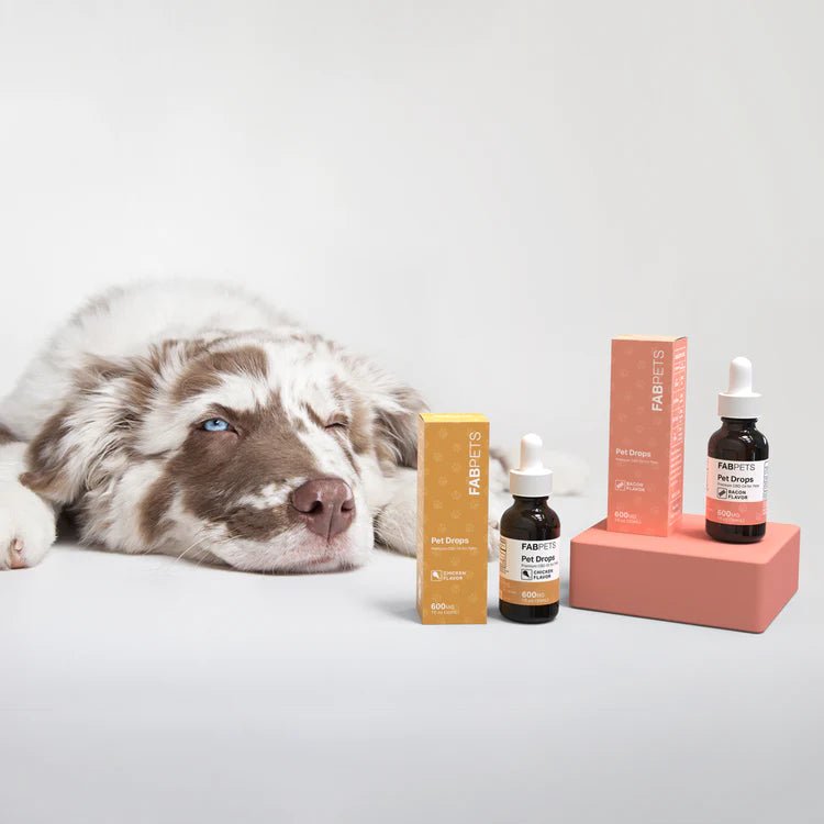 CBD PET BUNDLE - TPCSUPPLYCO