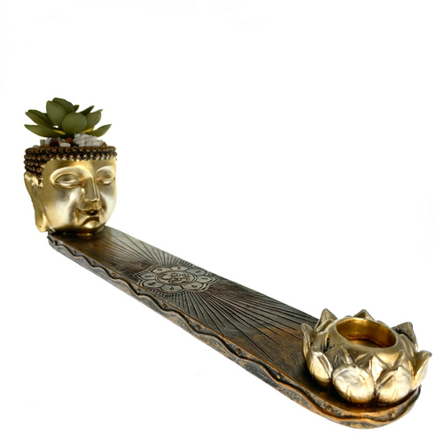 12.5" Gold Buddha Incense Burner with Succulent