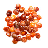 Cornelian Tumbled by the Pound 1"-2" Pieces