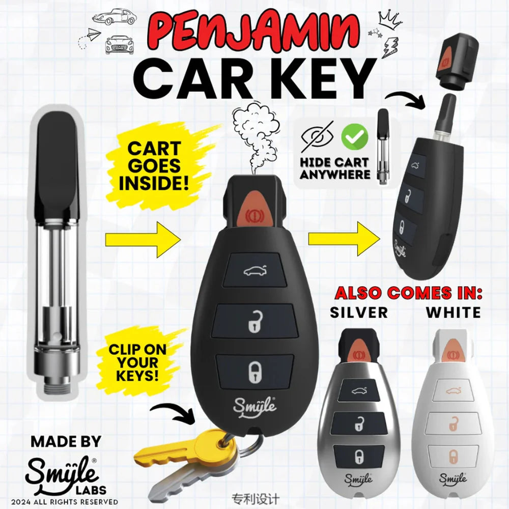 Smyle Labs Car Key Fob Penjamin